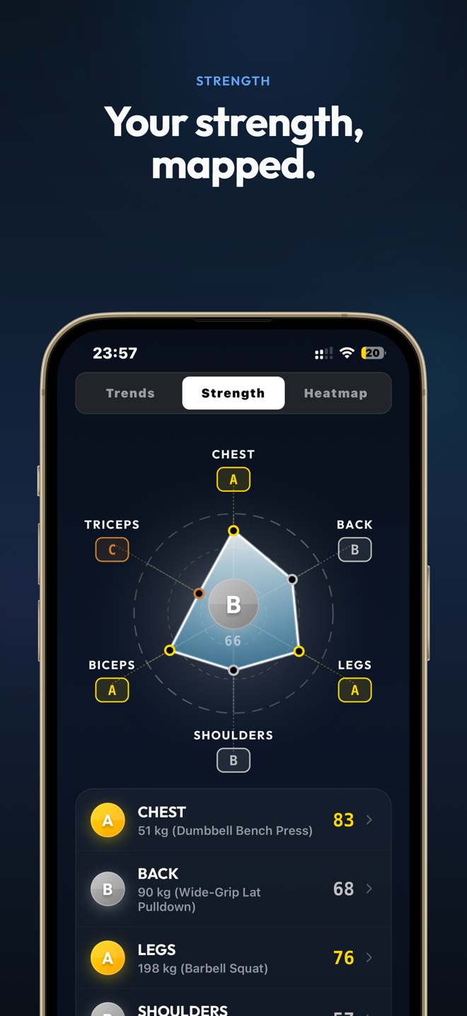 Strength radar chart with per-muscle grades