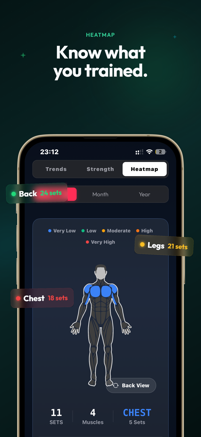 Volume heatmap over a body map with per-muscle set counts